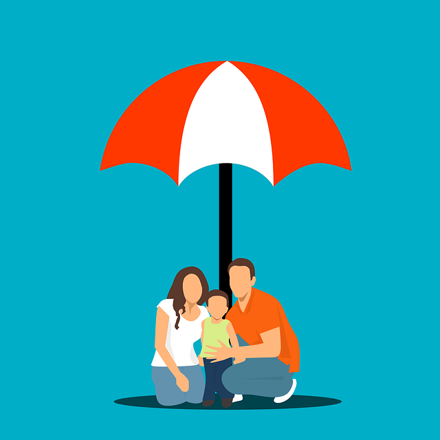 Family Law Services Albany