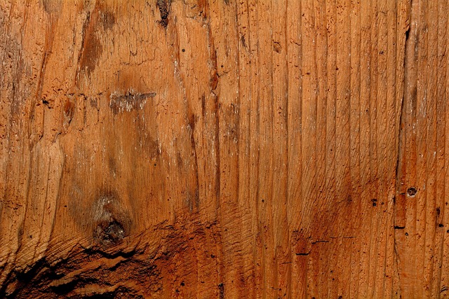 Glue Laminated Beam vs. Solid Wood Beam
