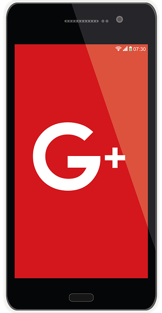Google Ads management agency Albany