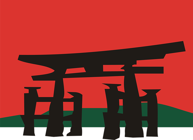 graphic designer Albany
