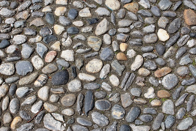 HOA paving Albany
