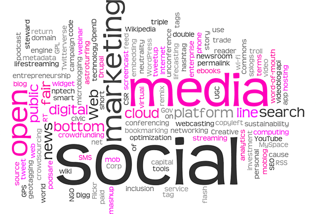 local SEO services Albany