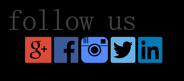 marketing agency Albany