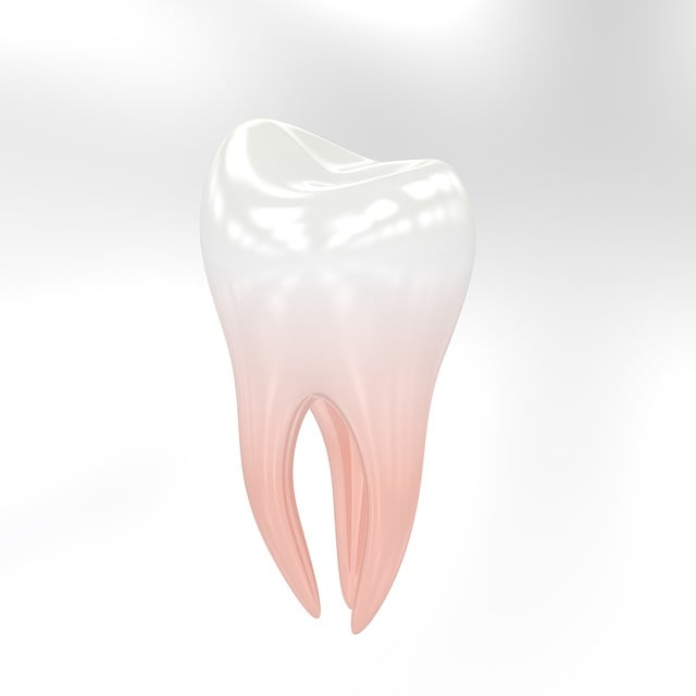 pediatric dentist