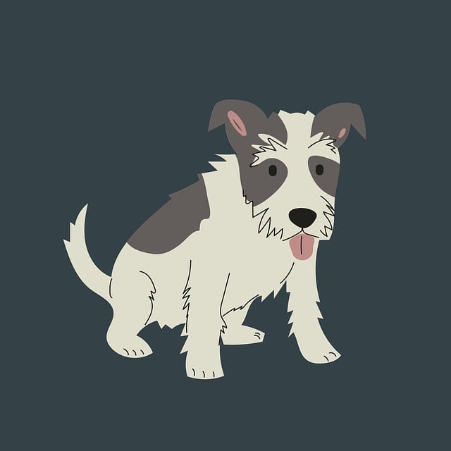 Pet friendly apartments in Albany