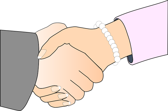 Pre-nuptial Agreement Lawyer Albany