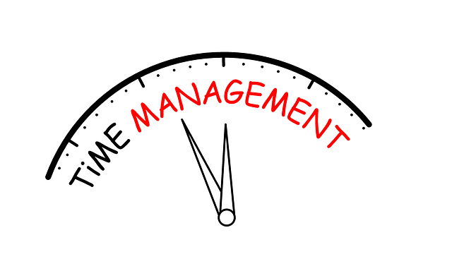 reputation management agency Albany