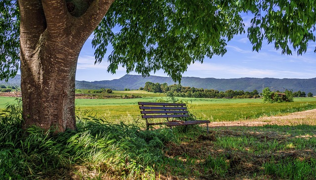 Financing Options for Saratoga Springs NY Businesses