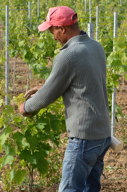 Saratoga Springs NY Workers Comp Attorneys