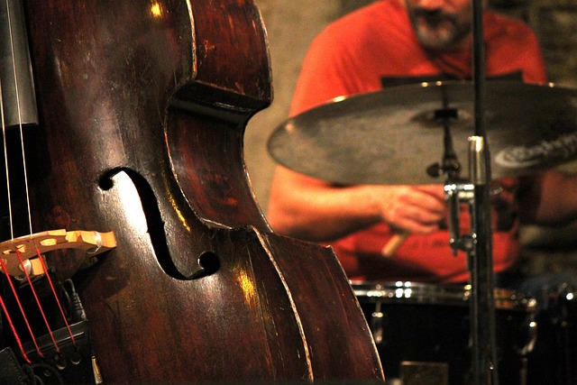 Schenectady Concerts