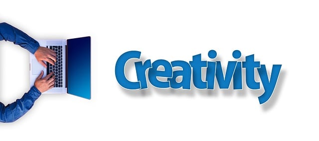 social media management agency Albany