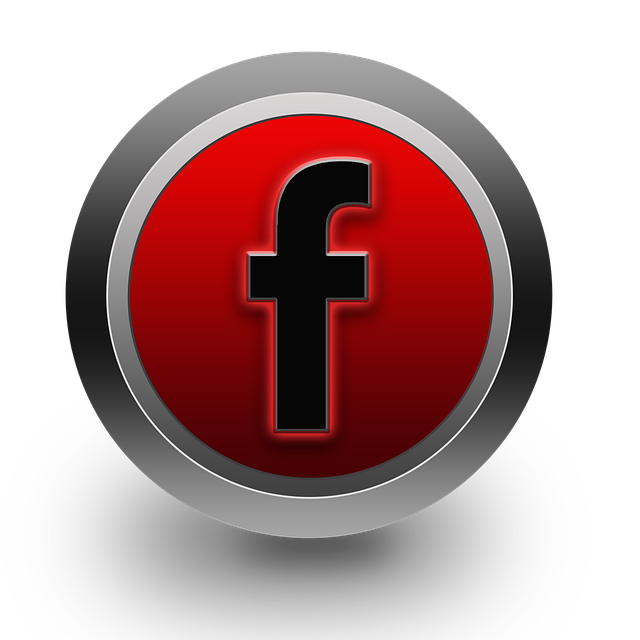 social media management agency Albany