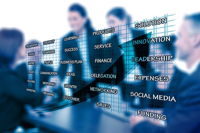 social media management agency Albany