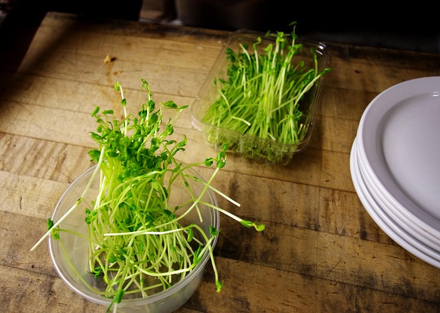 voted-best-restaurants-saratoga-springs-640x480-37497631.jpeg