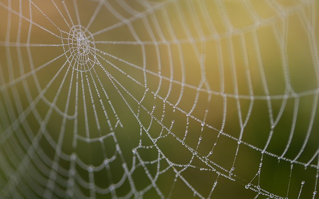 web design Albany