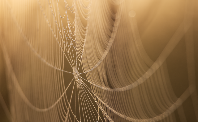 web design Albany