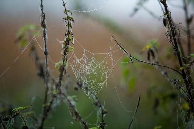 web design Albany