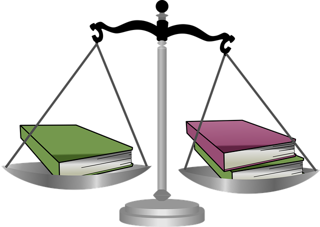 Albany Criminal Justice Legal Aid