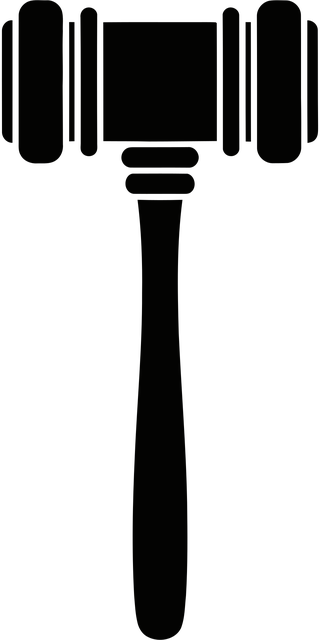 Albany Family Law Lawyers