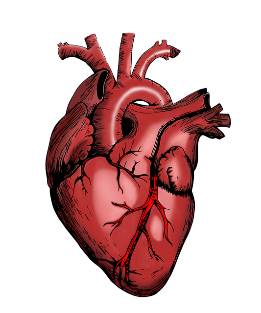 Albany Medical Malpractice Attorney