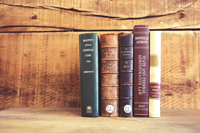 Albany NY Criminal Law Firm
