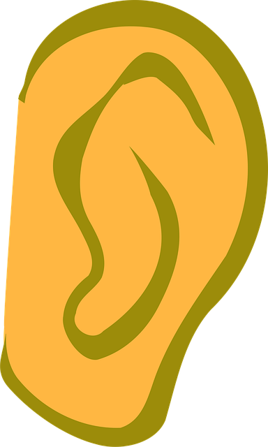 Albany workers comp hearing lawyer
