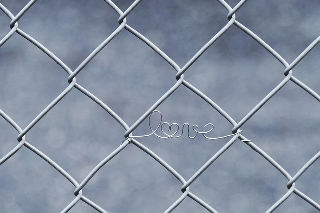 Apartments that allow dogs in Albany, NY