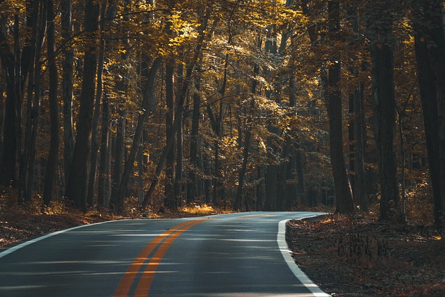 asphalt resurfacing Albany
