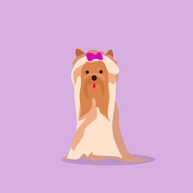 Cheap pet friendly apartment rentals Albany