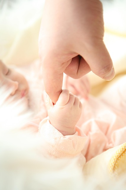 child-support-lawyer-albany-640x480-60649308.jpeg