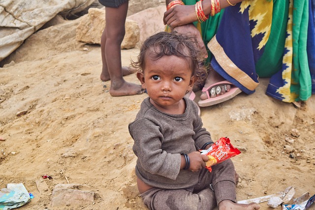 Child Support Lawyer Albany