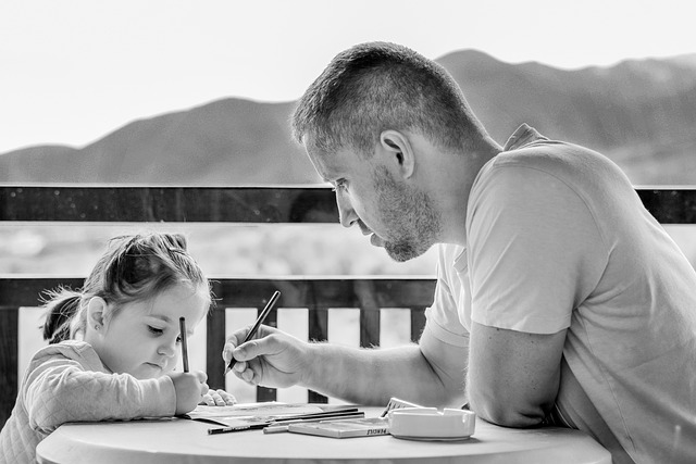 Child Support Lawyer Albany