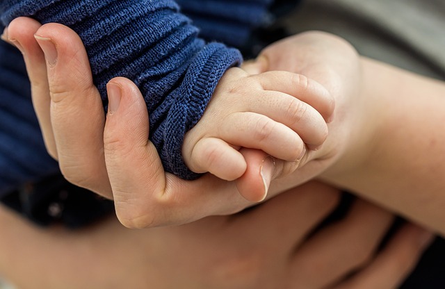 Child Support Lawyer Albany