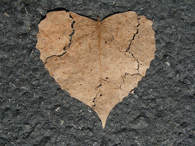 crack-sealing-albany-640x480-45166205.jpeg