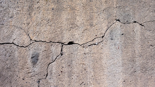 crack sealing Albany