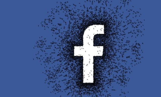 Facebook Ads agency Albany