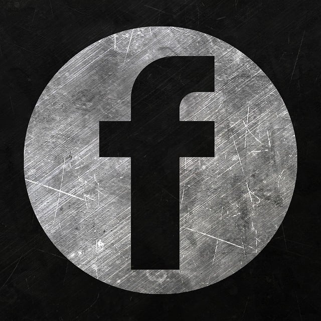 Facebook Ads agency Albany