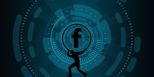 Facebook Ads agency Albany
