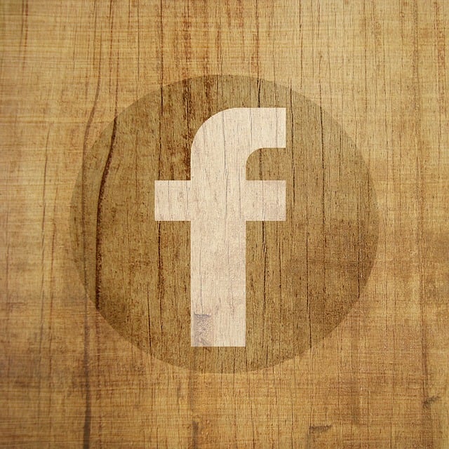 Facebook Ads agency Albany