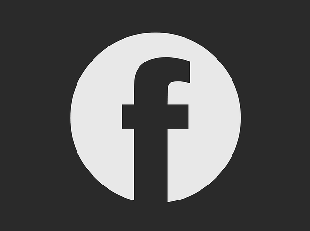 Facebook Ads agency Albany