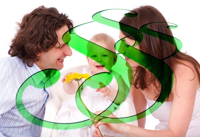 Family Law Services Albany