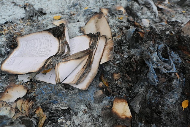 fire damage