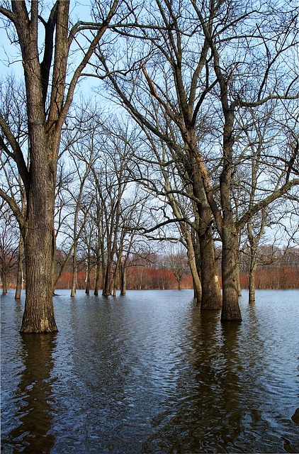 flood-damage-repair-640x480-8718252.jpeg