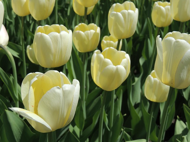 furnace installation Albany
