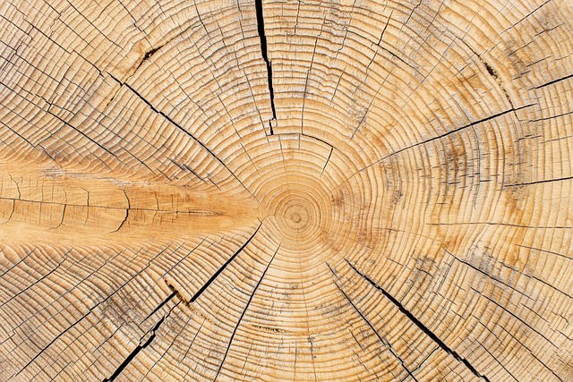 Glue Laminated Beam vs. Solid Wood Beam