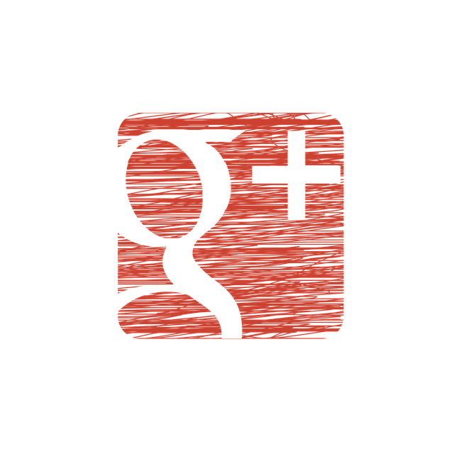 Google Ads management agency Albany