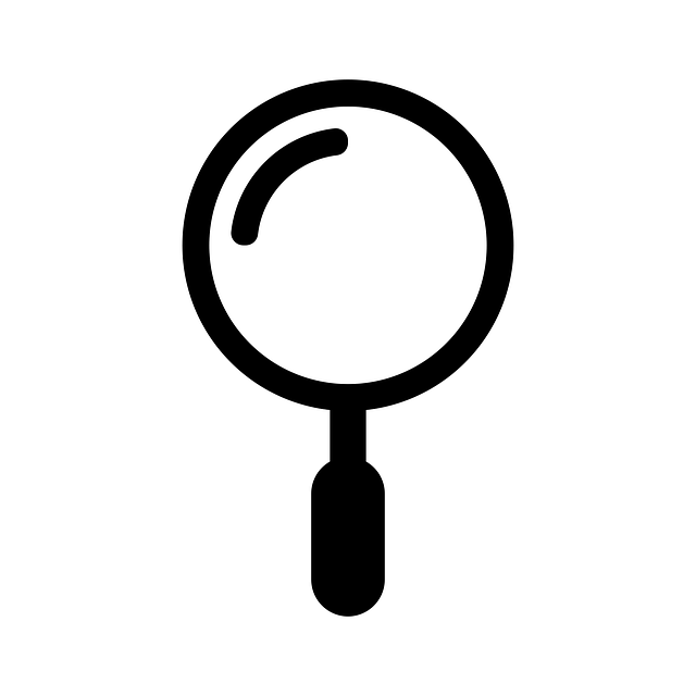 Google Ads management agency Albany