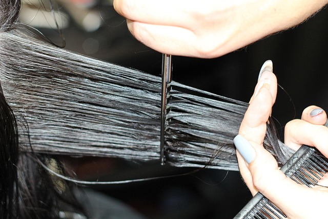 hair salon albany