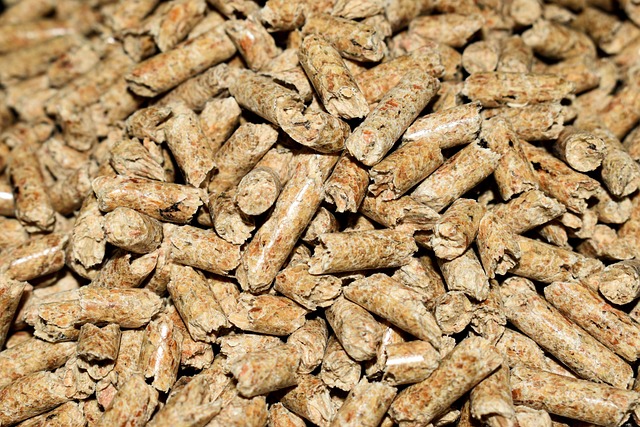 heat pump water heater replacement Albany