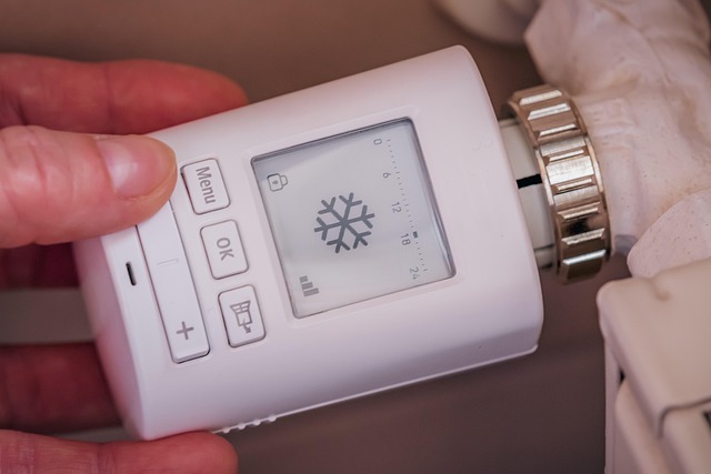 heating repair near me Albany